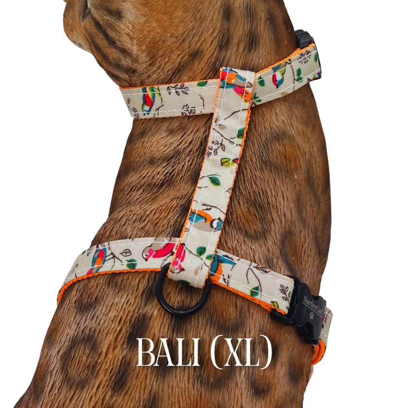 All Harnesses & Collections
