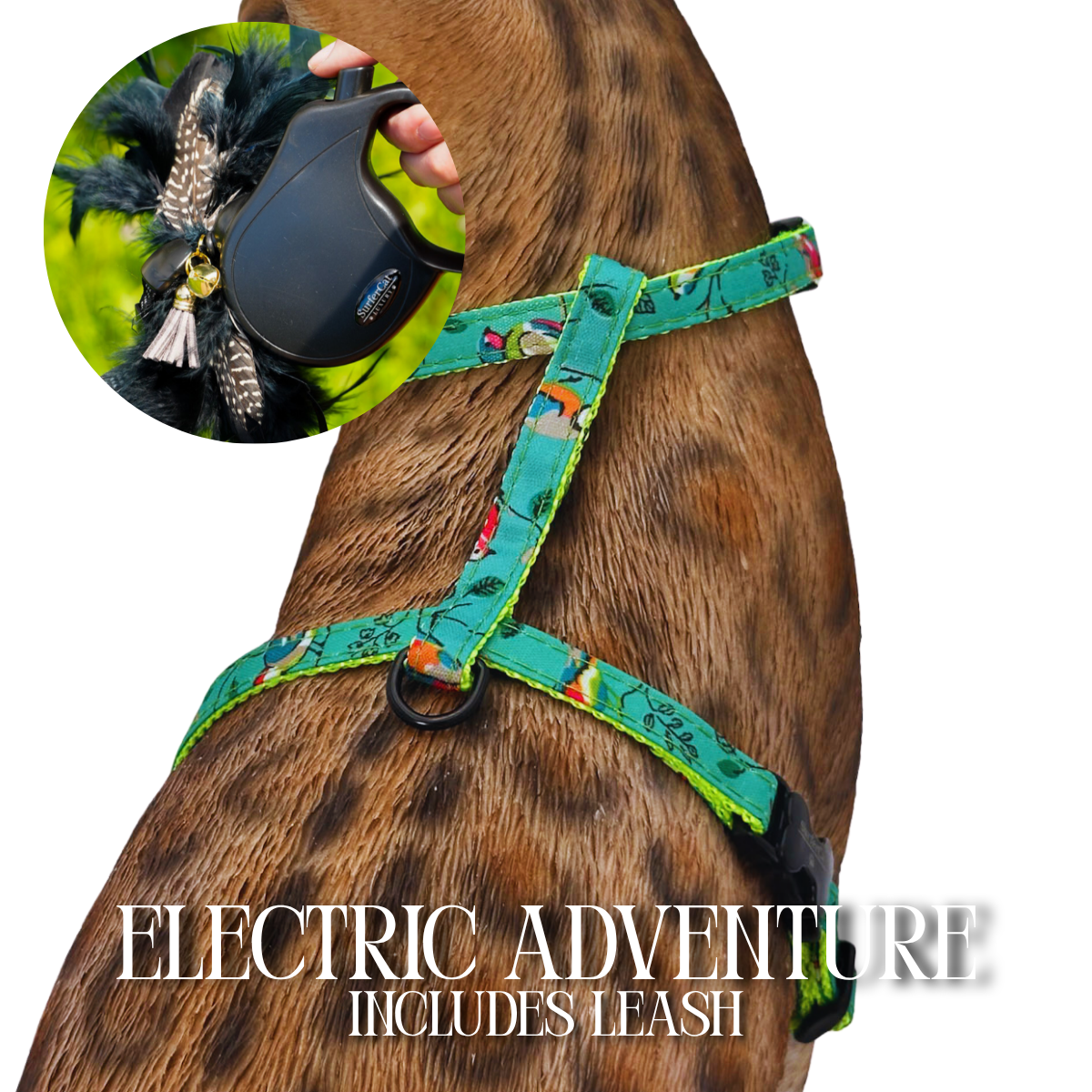 Leash and Harness Set