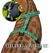 Leash and Harness Set