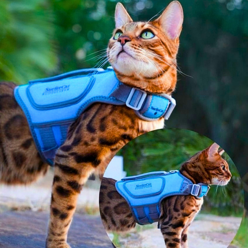 cat gear Cat Life Jacket – SurferCat