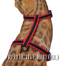 Load image into Gallery viewer, All Harnesses &amp; Collections
