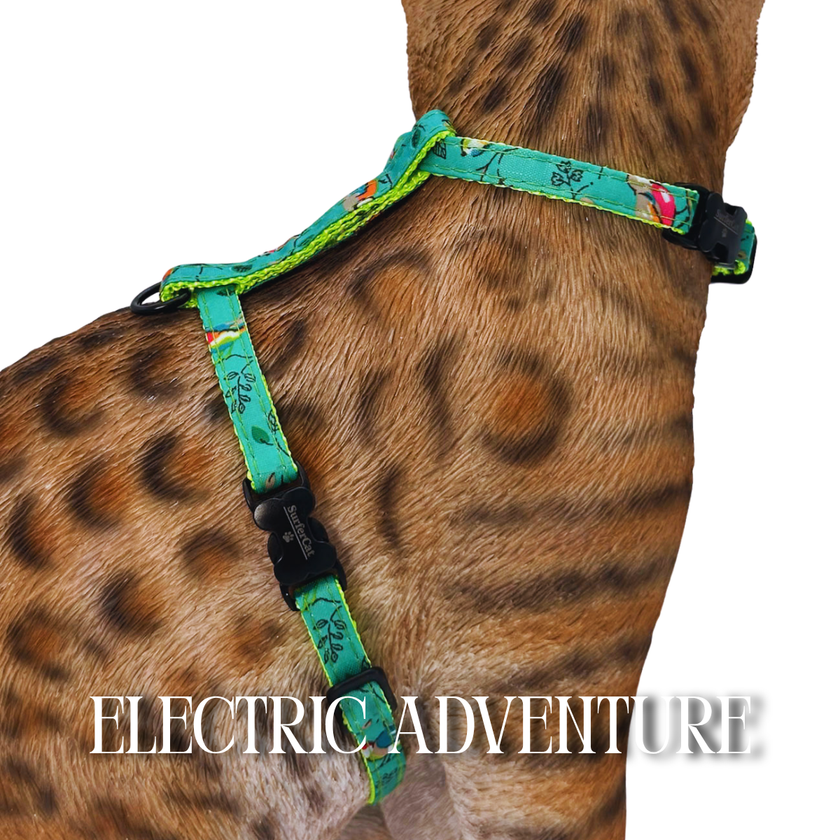 All Harnesses & Collections