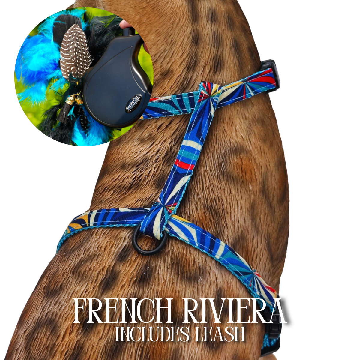 Leash and Harness Set