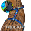 Leash and Harness Set