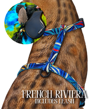 Load image into Gallery viewer, Leash and Harness Set
