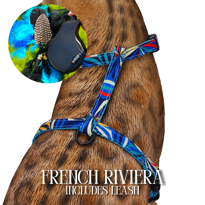 Leash and Harness Set