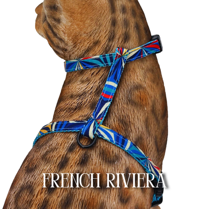 Travel Collection - Escape-Proof Harness