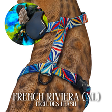 Load image into Gallery viewer, XL Harness &amp; Leash Set
