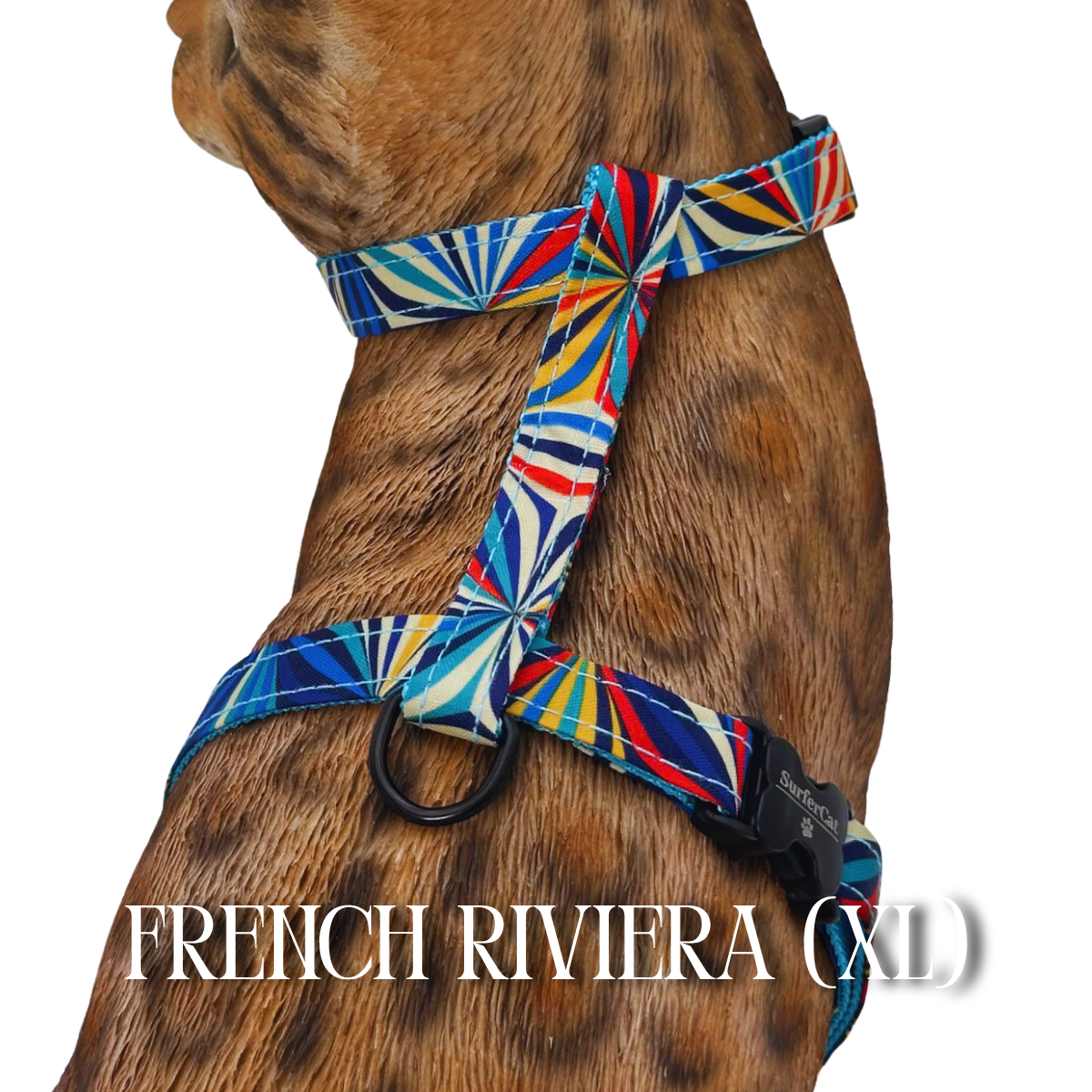 All Harnesses & Collections