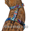 All Harnesses & Collections
