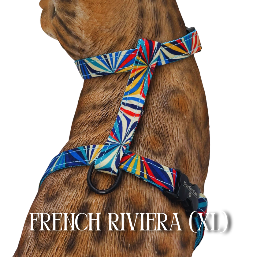 All Harnesses & Collections