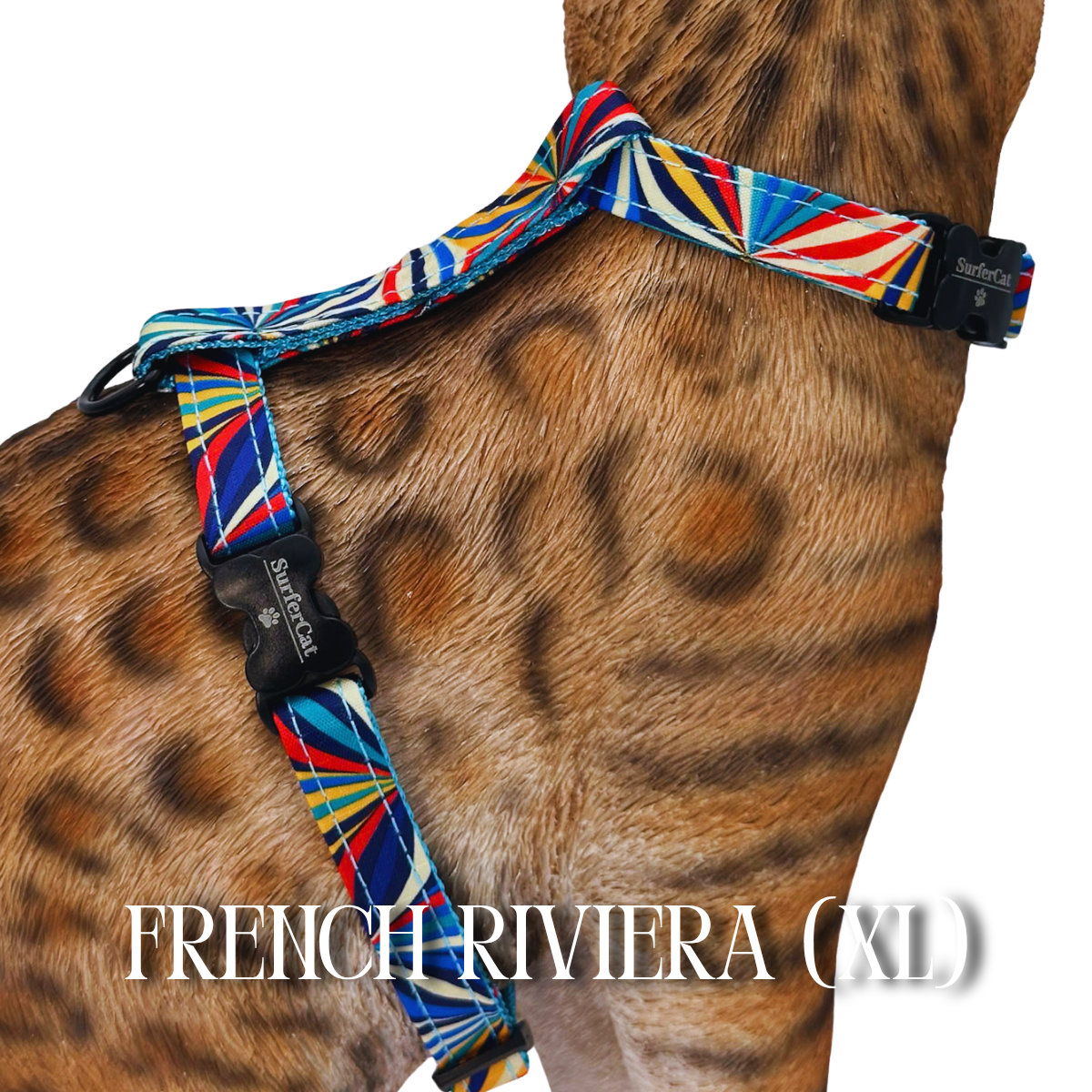 All Harnesses & Collections