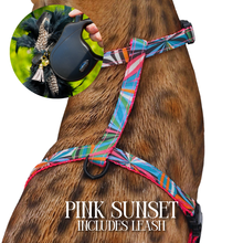 Load image into Gallery viewer, Leash and Harness Set
