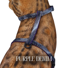 Load image into Gallery viewer, Super Soft Denim Collection
