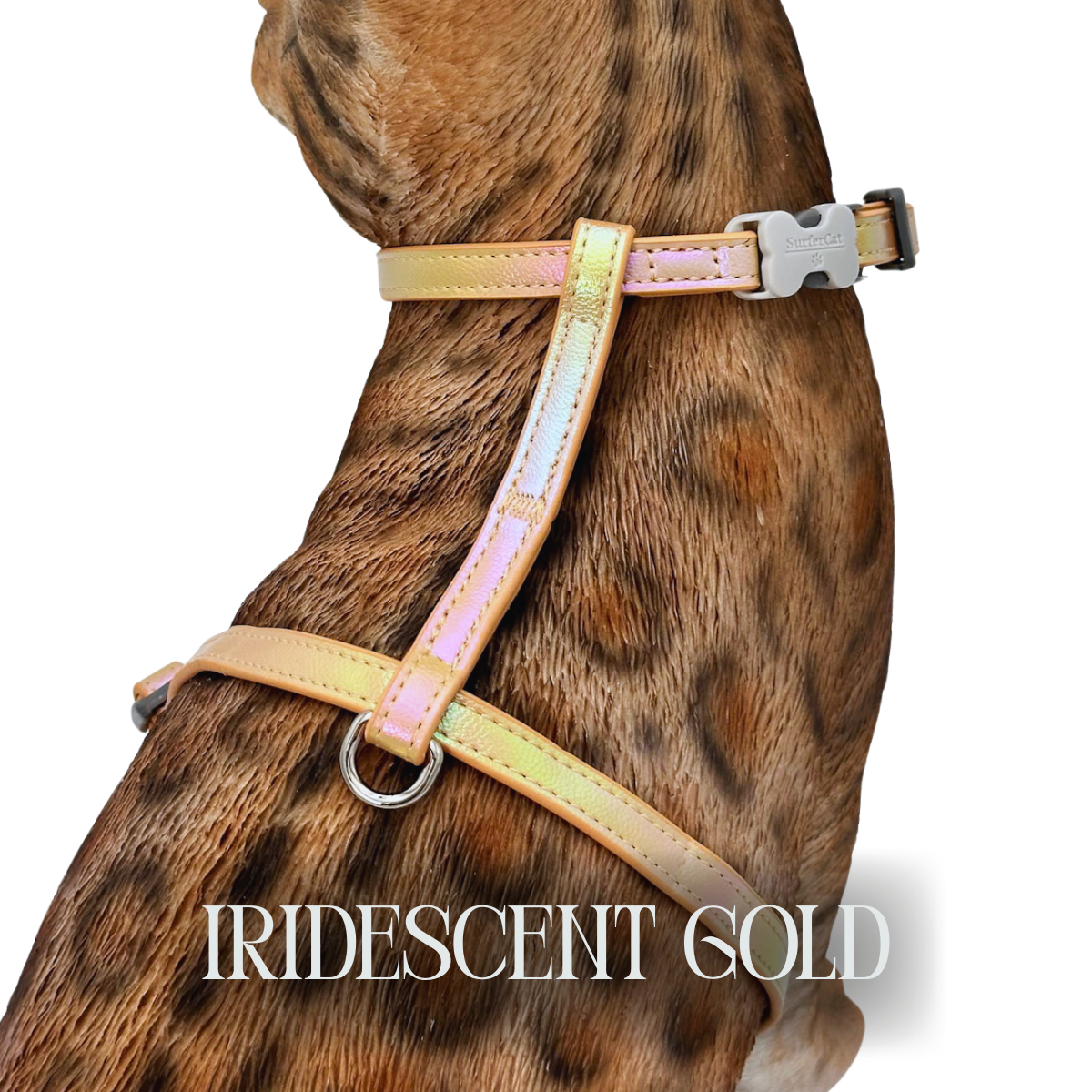 Iridescent Collection- sold separately Hands Free Leash, Escape Proof Harness & collars