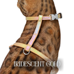Iridescent Collection- sold separately Hands Free Leash, Escape Proof Harness & collars