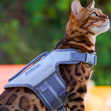Load image into Gallery viewer, Cat Life Jacket
