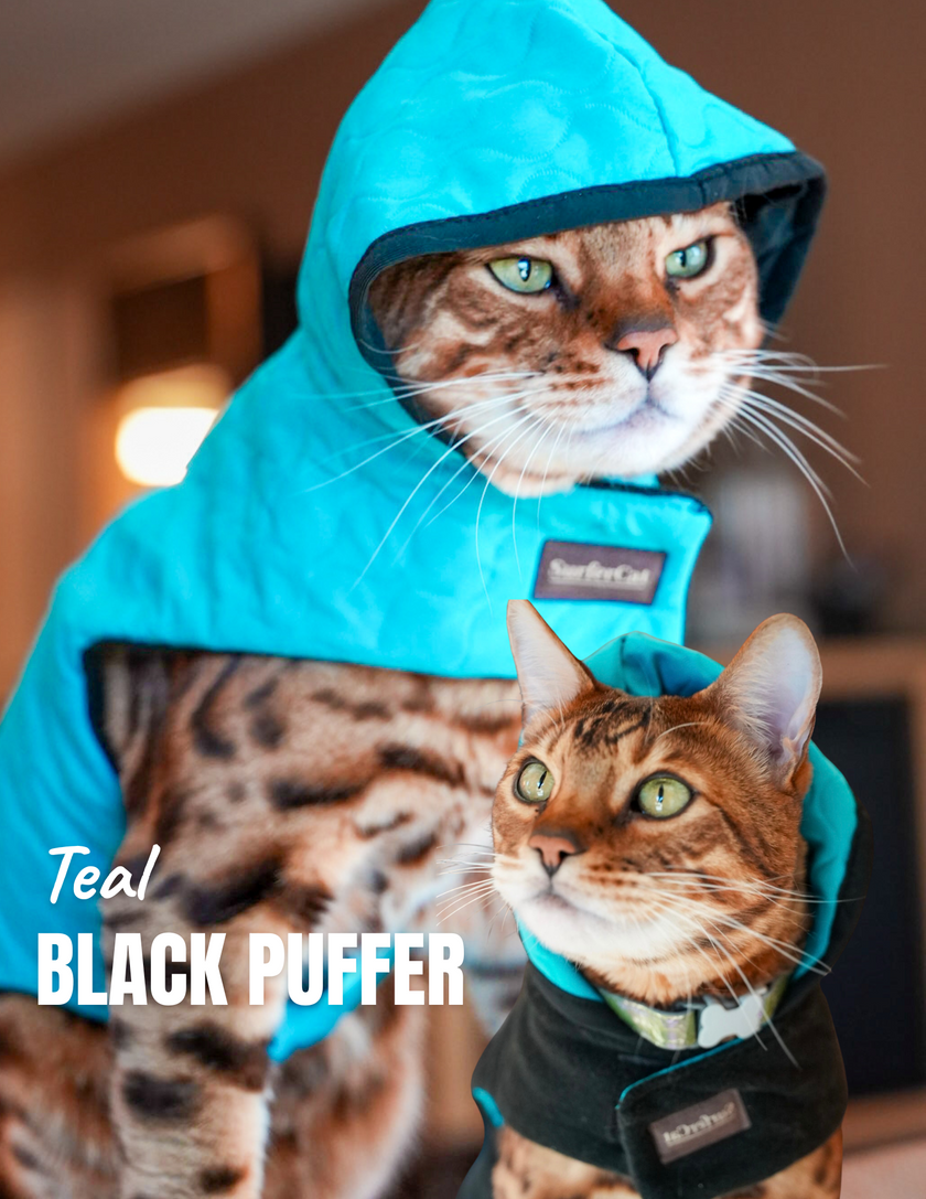 Hideaway Hoodie Collection - Reversible Cat Jacket