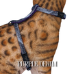 All Harnesses & Collections