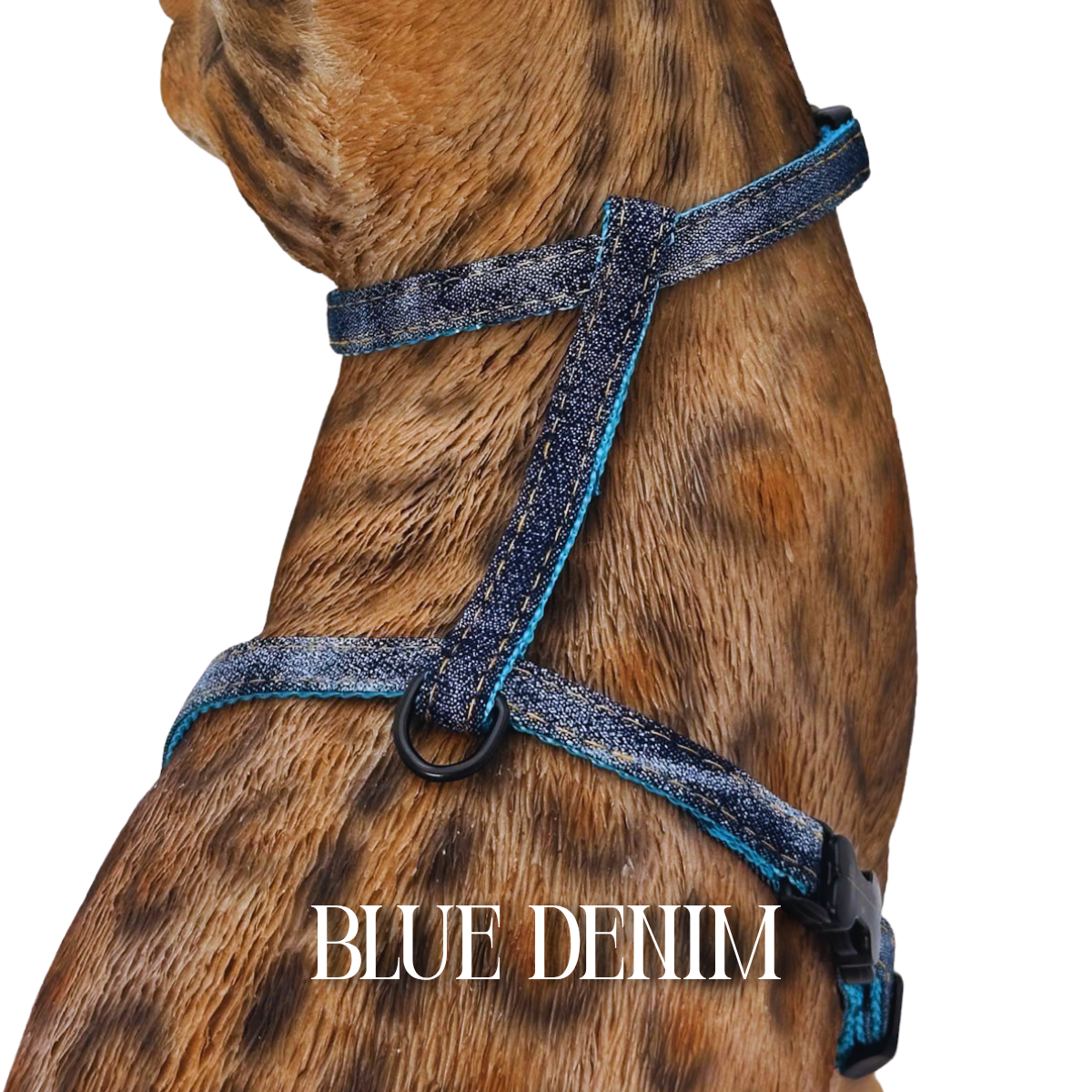 All Harnesses & Collections