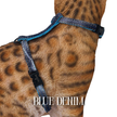 All Harnesses & Collections