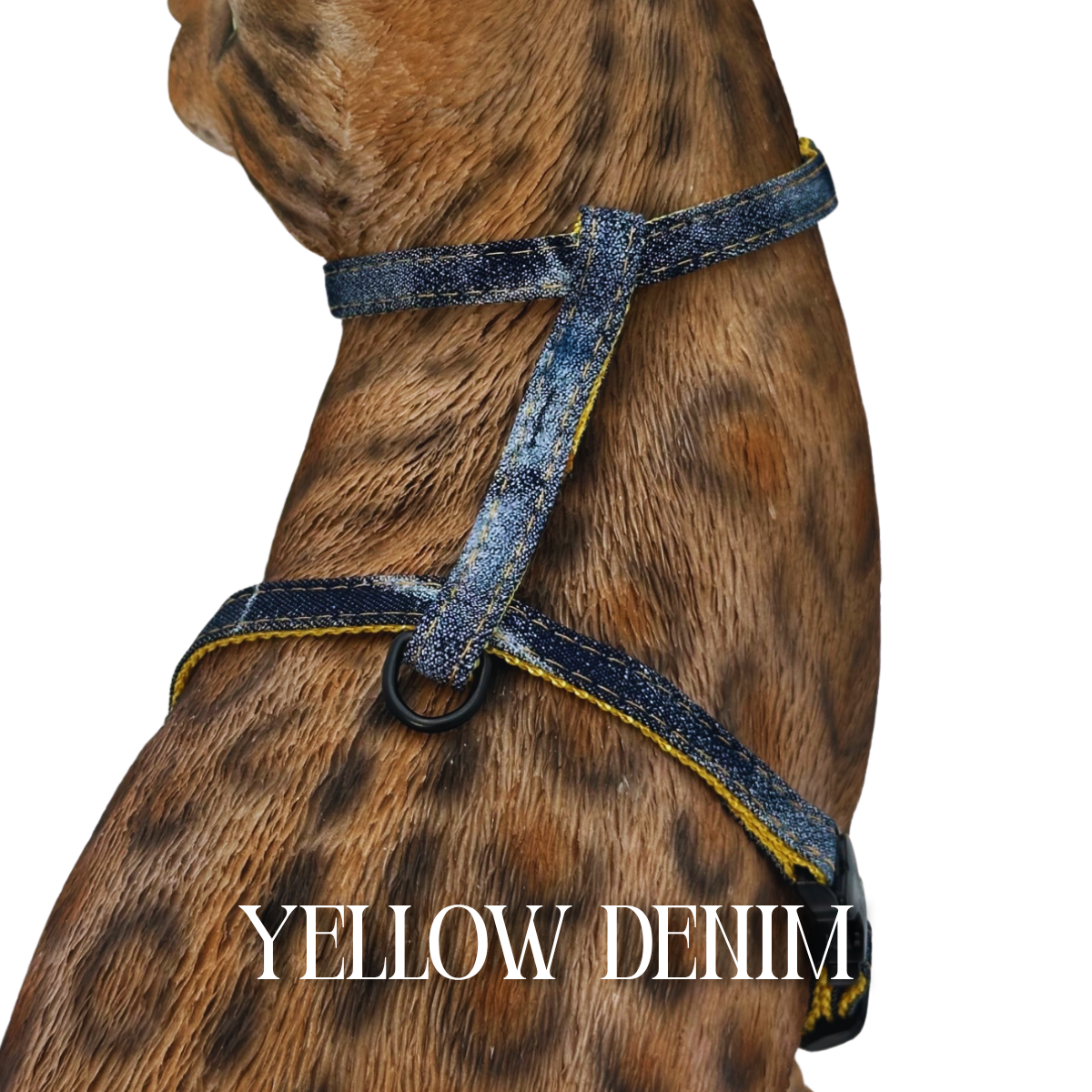 All Harnesses & Collections