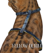 All Harnesses & Collections