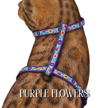 Load image into Gallery viewer, Floral Collection - Escape-Proof Harness
