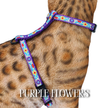 Floral Collection - Escape-Proof Harness