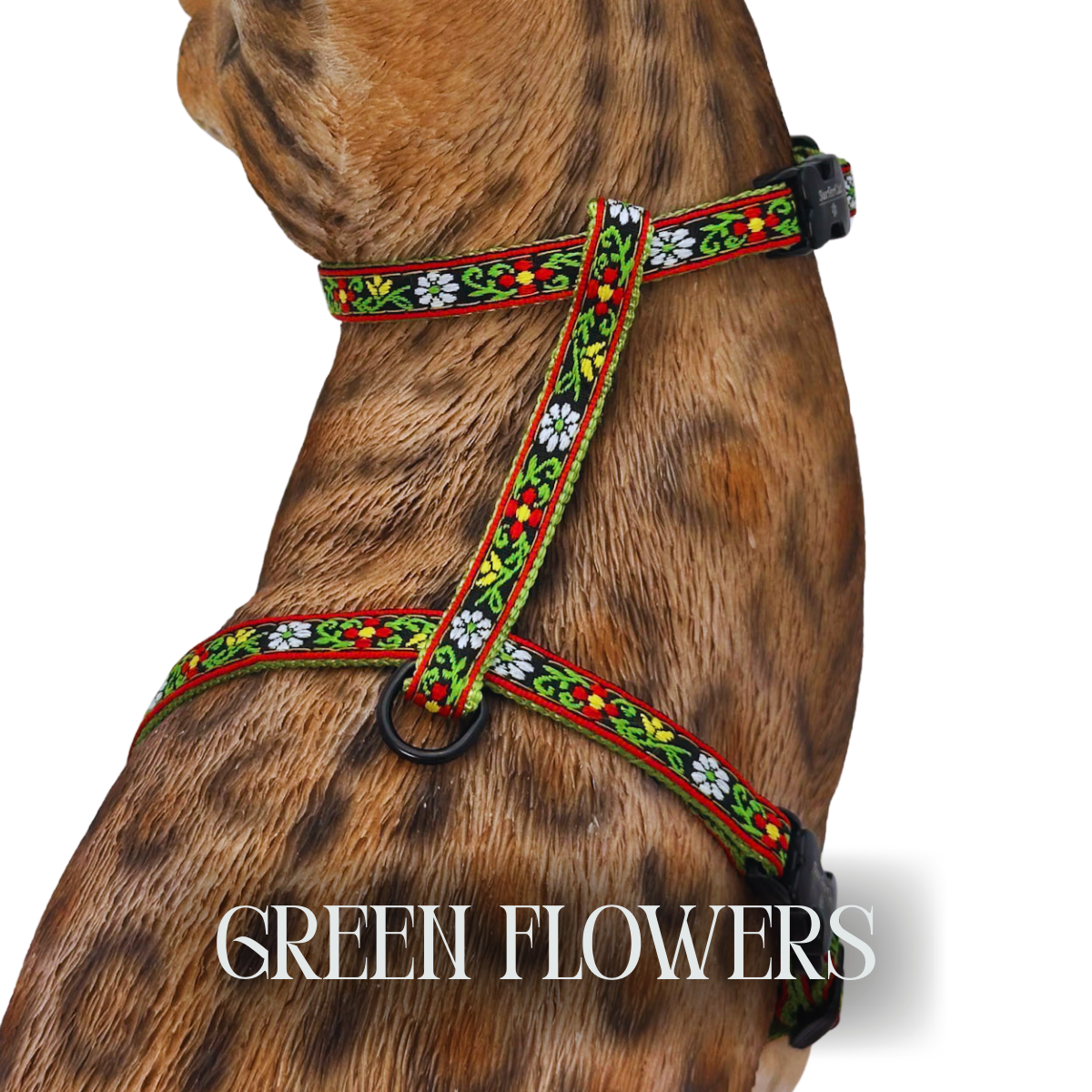Iridescent Collection- sold separately Hands Free Leash, Escape Proof Harness & collars