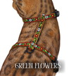 Iridescent Collection- sold separately Hands Free Leash, Escape Proof Harness & collars