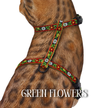 Black Dipped in Gold Leash and Harness Set