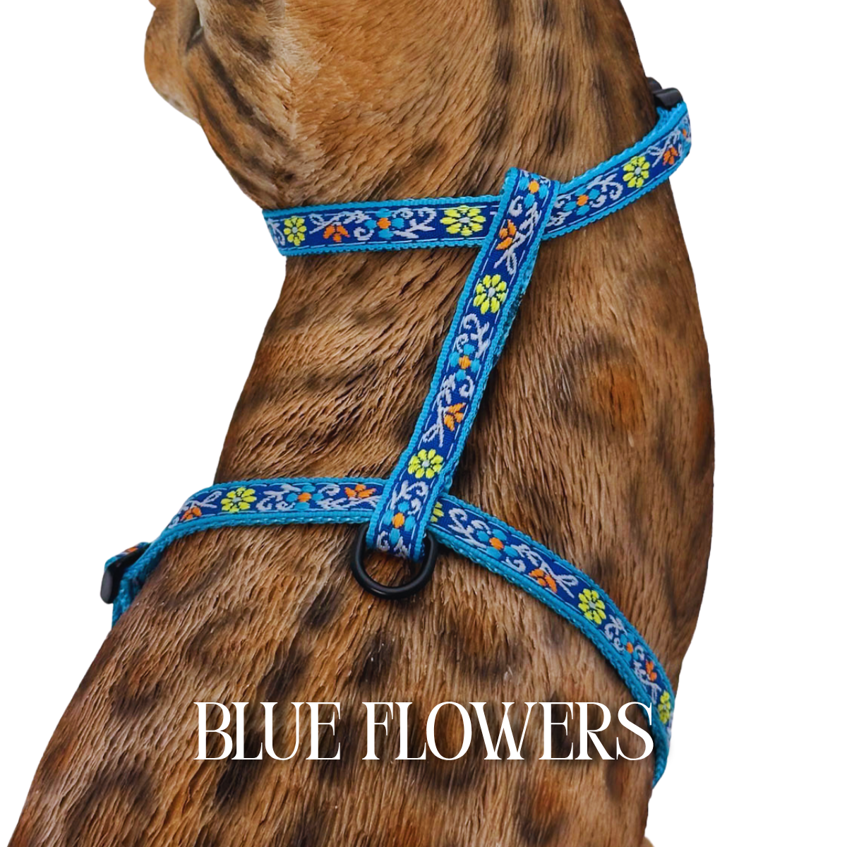 Floral Collection - Escape-Proof Harness