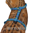 Floral Collection - Escape-Proof Harness