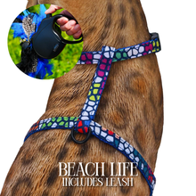 Load image into Gallery viewer, Leash and Harness Set
