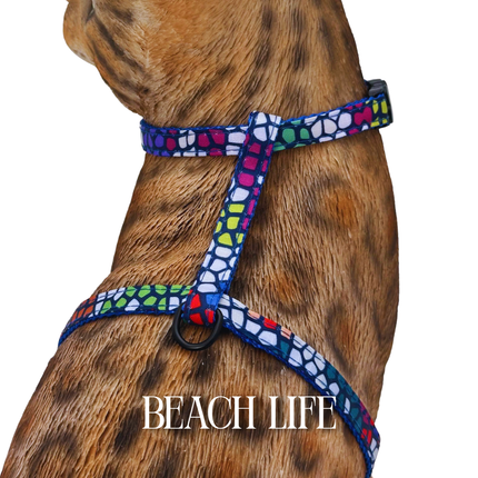 Travel Collection - Escape-Proof Harness