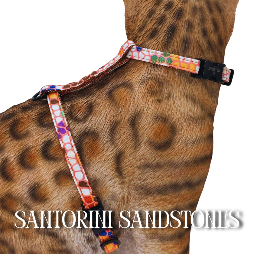 All Harnesses & Collections