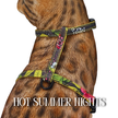 All Harnesses & Collections