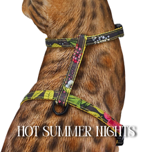 Load image into Gallery viewer, All Harnesses &amp; Collections
