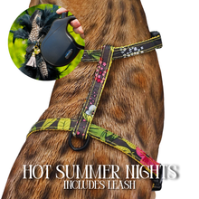 Load image into Gallery viewer, Leash and Harness Set
