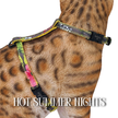 All Harnesses & Collections
