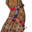 All Harnesses & Collections