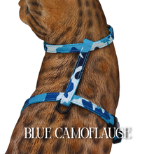 Load image into Gallery viewer, All Harnesses &amp; Collections
