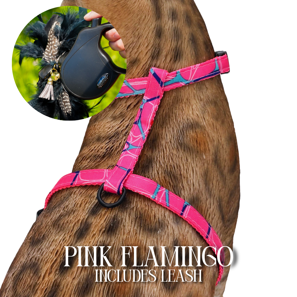 Leash and Harness Set