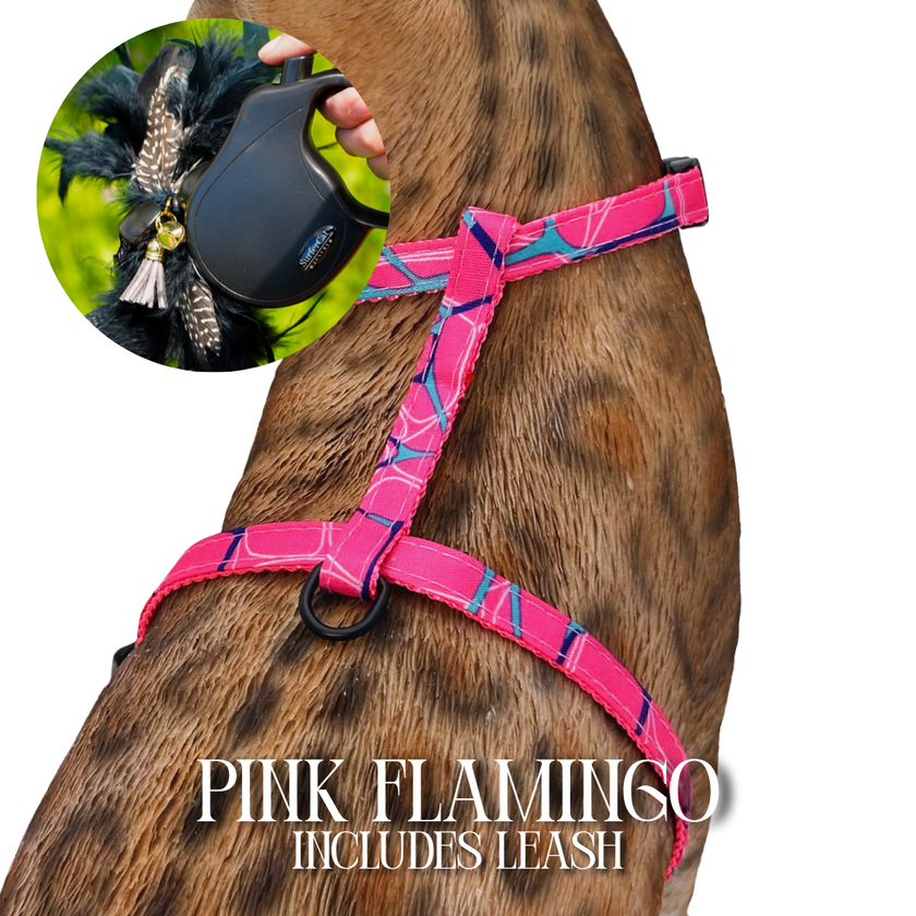 Leash and Harness Set