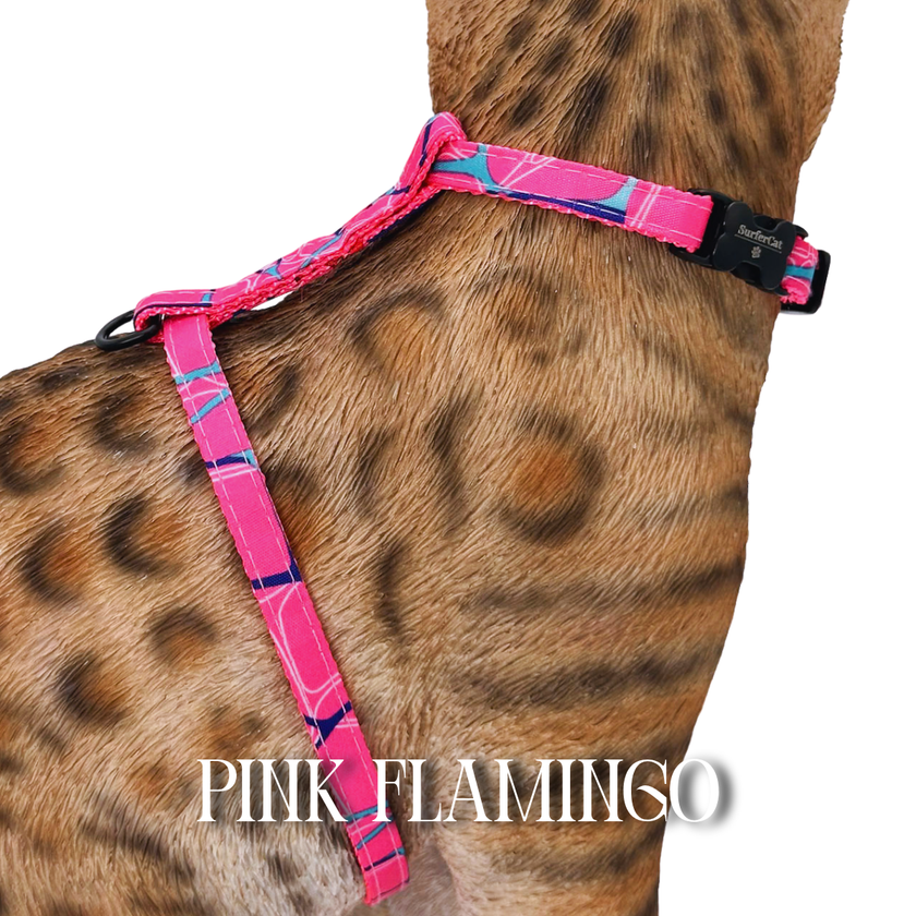 All Harnesses & Collections