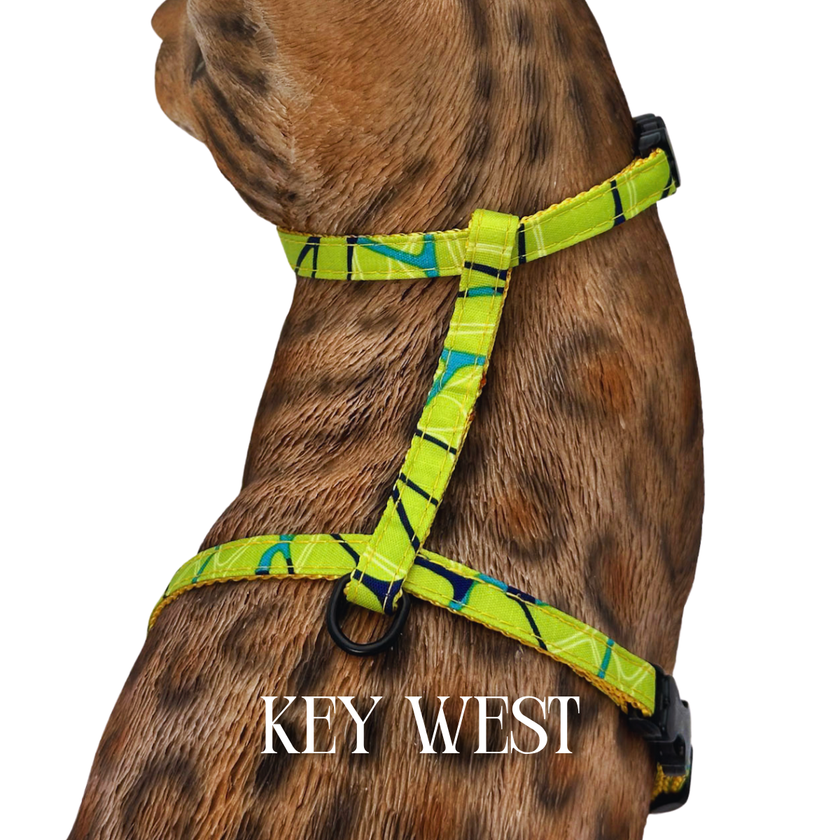 All Harnesses & Collections