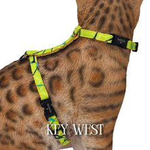 Load image into Gallery viewer, Summer Collection - Escape-Proof Harness
