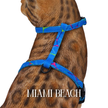 All Harnesses & Collections