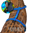 Leash and Harness Set